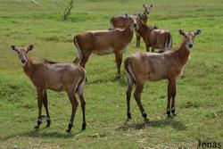 Parque Zoológico Nacional de Cuba