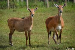 Parque Zoológico Nacional de Cuba