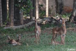 Parque Zoológico Nacional de Cuba