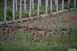 Parque Zoológico Nacional de Cuba
