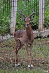 Parque Zoológico Nacional de Cuba