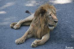 Parque Zoológico Nacional de Cuba