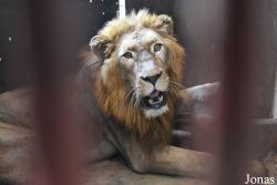 Parque Zoológico Nacional de Cuba