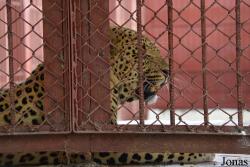Parque Zoológico Nacional de Cuba