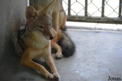 Parque Zoológico Nacional de Cuba