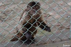 Parque Zoológico Nacional de Cuba