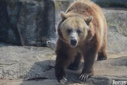 Washington Park Zoo