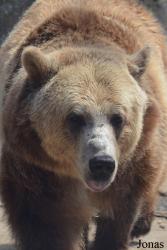 Washington Park Zoo