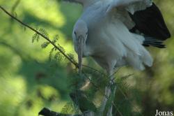 Vogelpark Walsrode