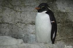 Shedd Aquarium