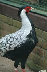 Vogelpark Walsrode