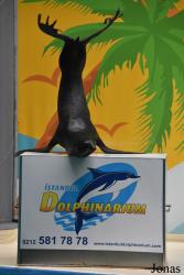 Istanbul Dolphinarium