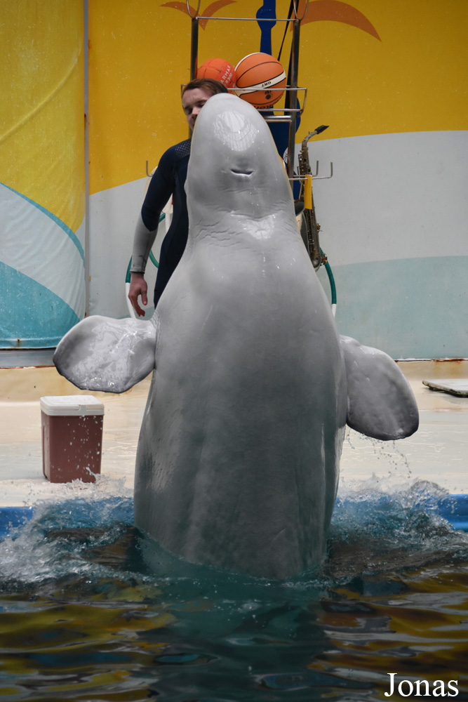 Istanbul Dolphinarium