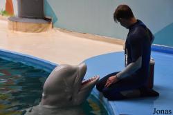 Istanbul Dolphinarium