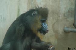 Qingdao Zoo