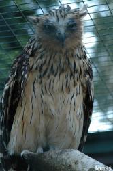 Vogelpark Walsrode