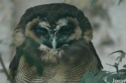 Vogelpark Walsrode