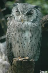 Vogelpark Walsrode