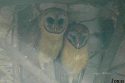 Vogelpark Walsrode