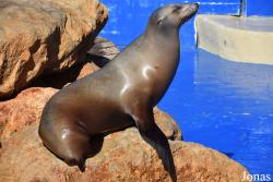 Marineland Mallorca