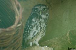 Vogelpark Walsrode