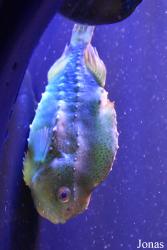 Palma Aquarium