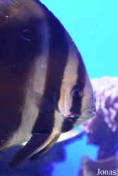 Palma Aquarium
