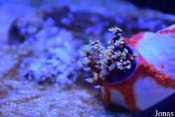 Palma Aquarium