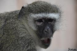 Safari-Zoo Mallorca