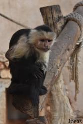 Safari-Zoo Mallorca