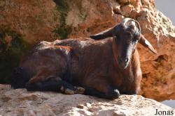 Natura Parc Santa Eugènia