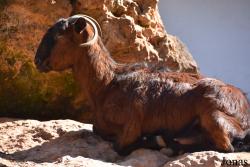 Natura Parc Santa Eugènia