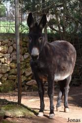 Natura Parc Santa Eugènia