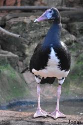 Natura Parc Santa Eugènia