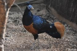Natura Parc Santa Eugènia