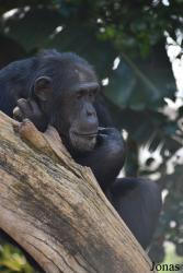Bioparc Fuengirola
