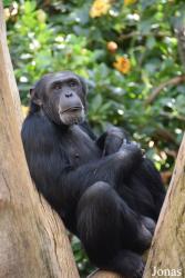 Bioparc Fuengirola