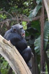 Bioparc Fuengirola