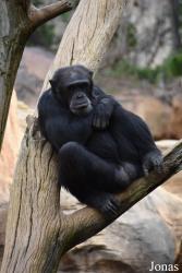 Bioparc Fuengirola