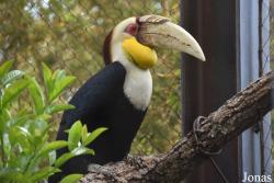 Bioparc Fuengirola