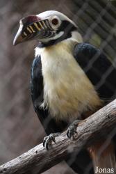 Bioparc Fuengirola