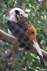 Bioparc Fuengirola