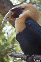 Bioparc Fuengirola