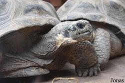 Bioparc Fuengirola