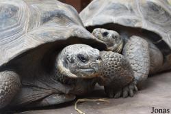 Bioparc Fuengirola