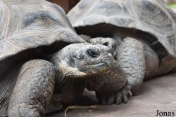 Bioparc Fuengirola