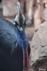 Bioparc Fuengirola