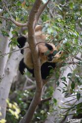 Bioparc Fuengirola