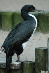 Vogelpark Walsrode