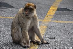 Gibraltar